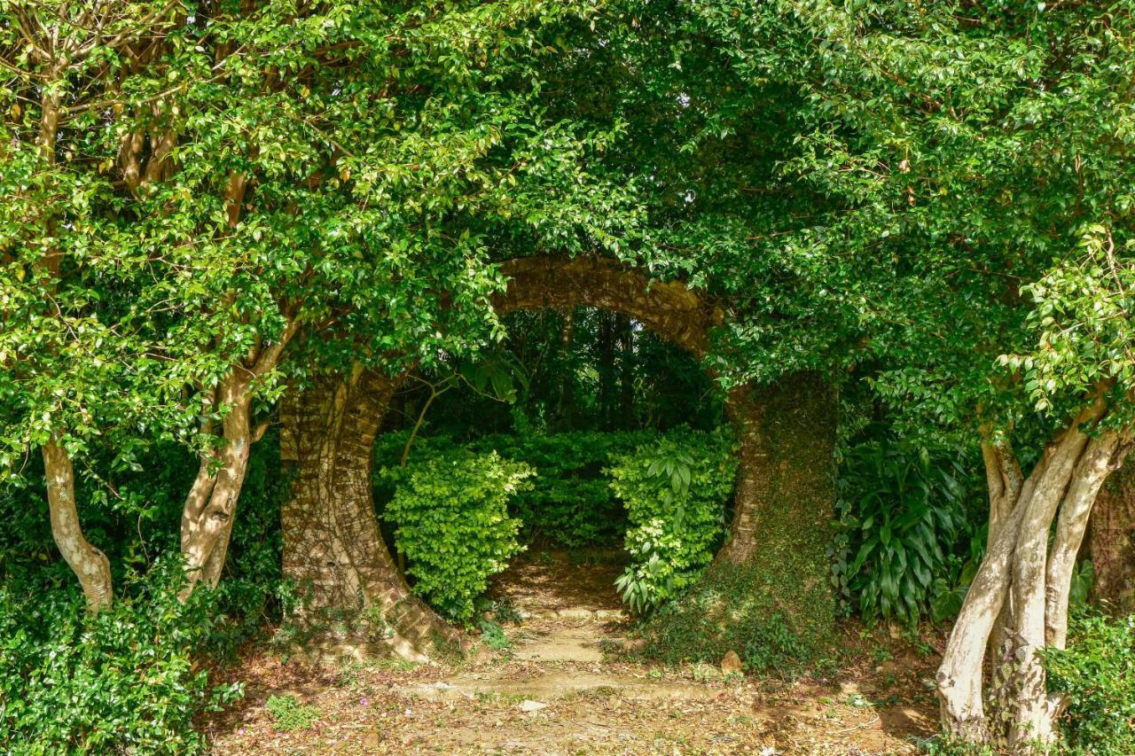 Kirchhayn Bungalow バンダーラウェラ エクステリア 写真